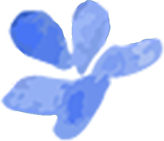 76（1）.png